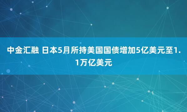 中金汇融 日本5月所持美国国债增加5亿美元至1.1万亿美元