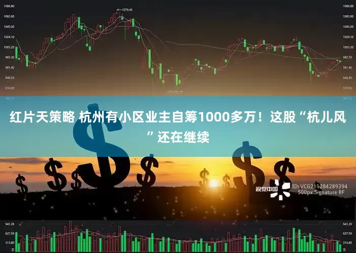 红片天策略 杭州有小区业主自筹1000多万！这股“杭儿风”还在继续